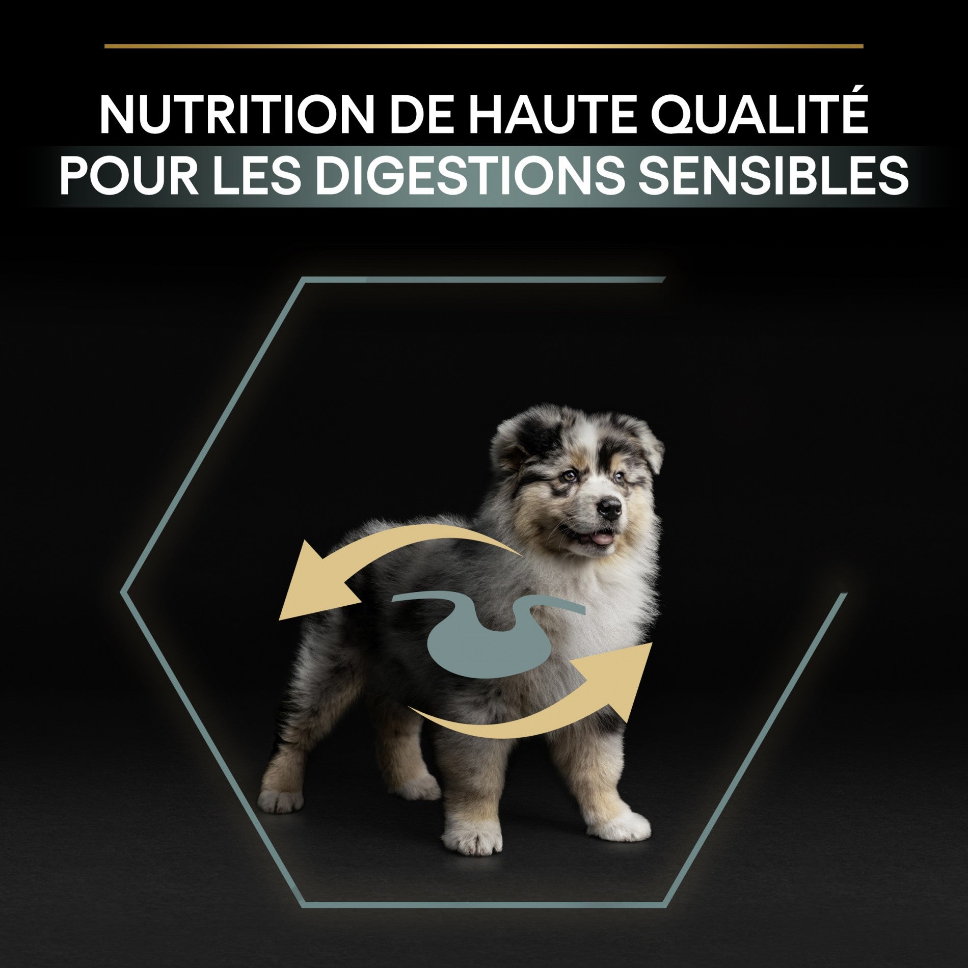 PRO PLAN Sensitive Digestion Medium Puppy à la Agneau- Croquettes pour chien