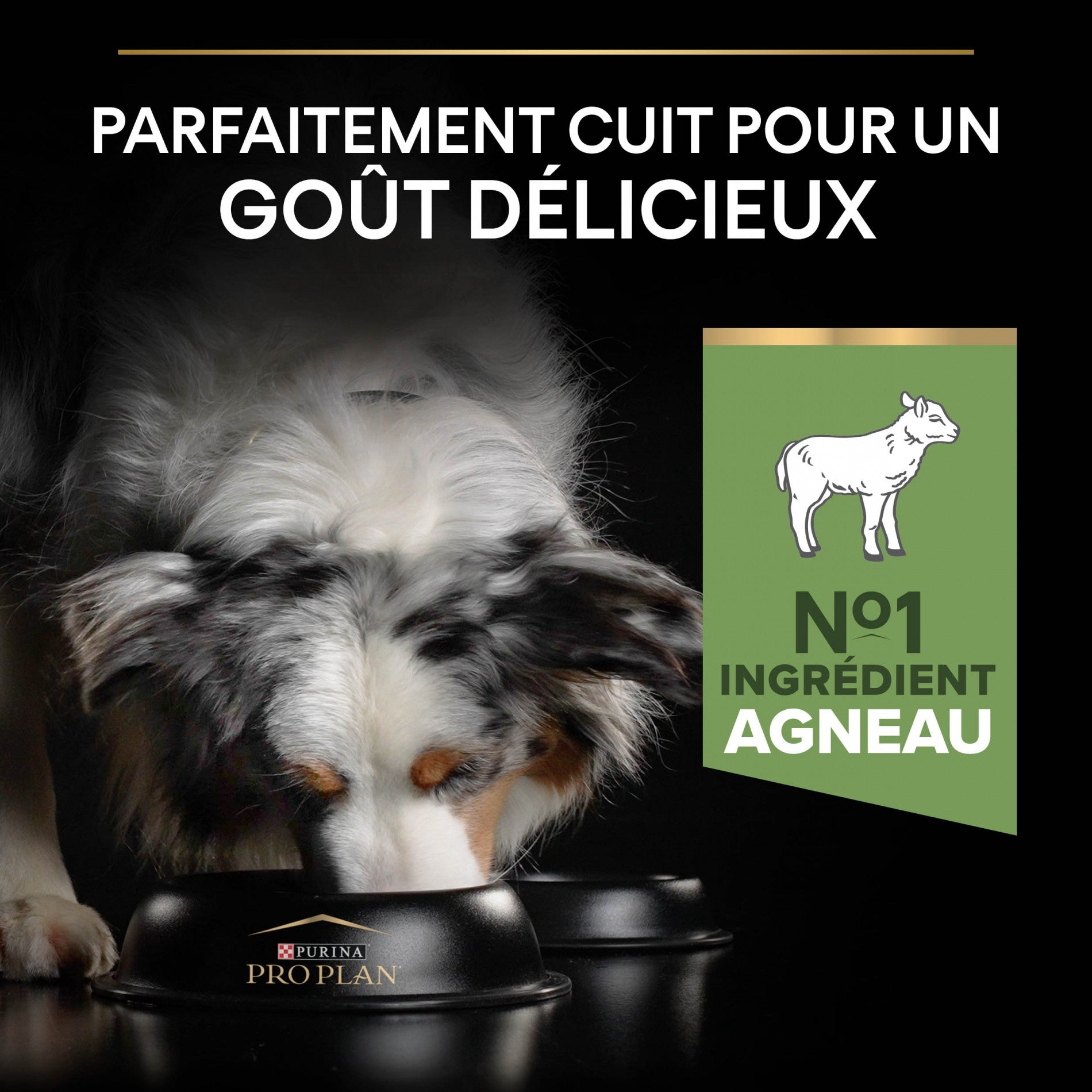 PRO PLAN Sensitive Digestion Medium Adult à l&