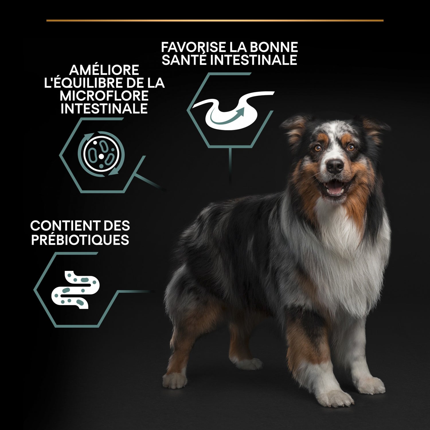 PRO PLAN Sensitive Digestion Medium Adult à l&