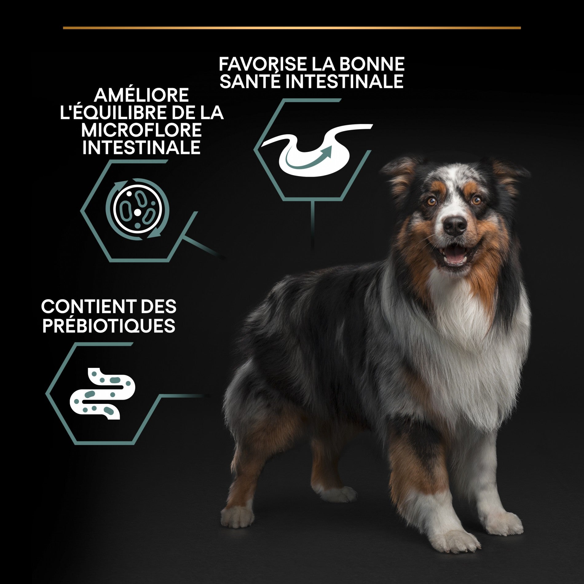 PRO PLAN Sensitive Digestion Medium Adult à l&