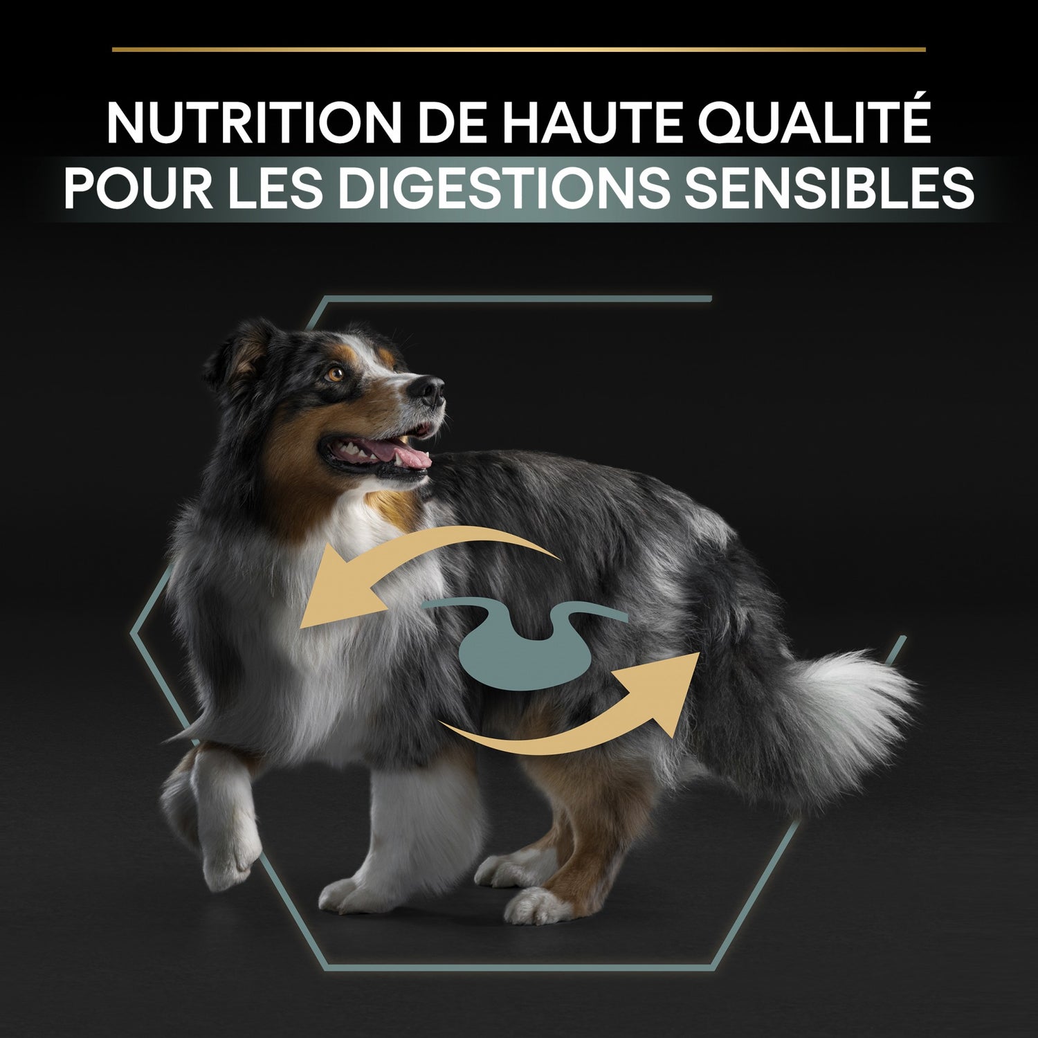 PRO PLAN Sensitive Digestion Medium Adult à l&