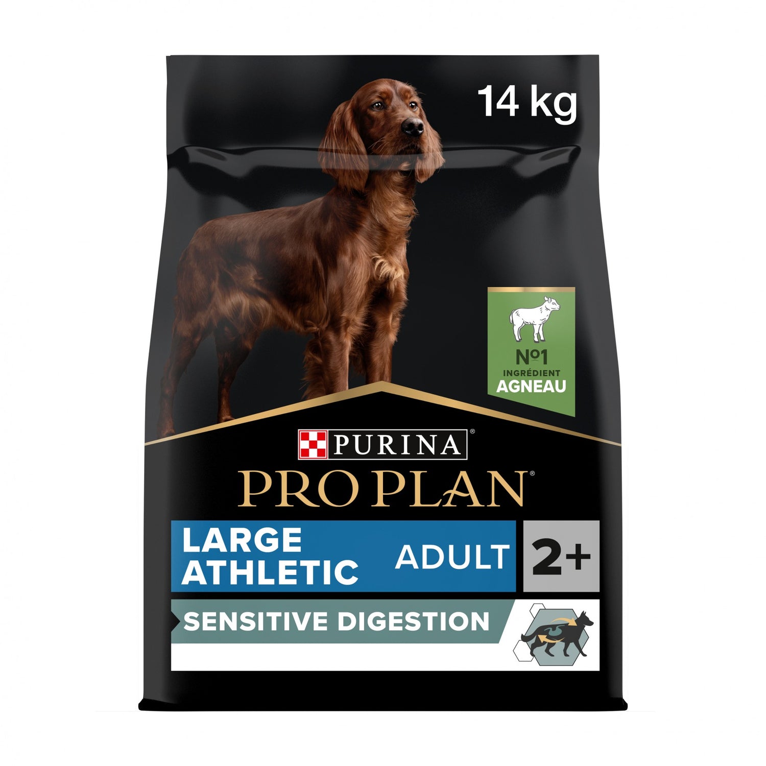 PRO PLAN Sensitive Digestion Large Athletic Adult à la Agneau - Croquettes pour chien