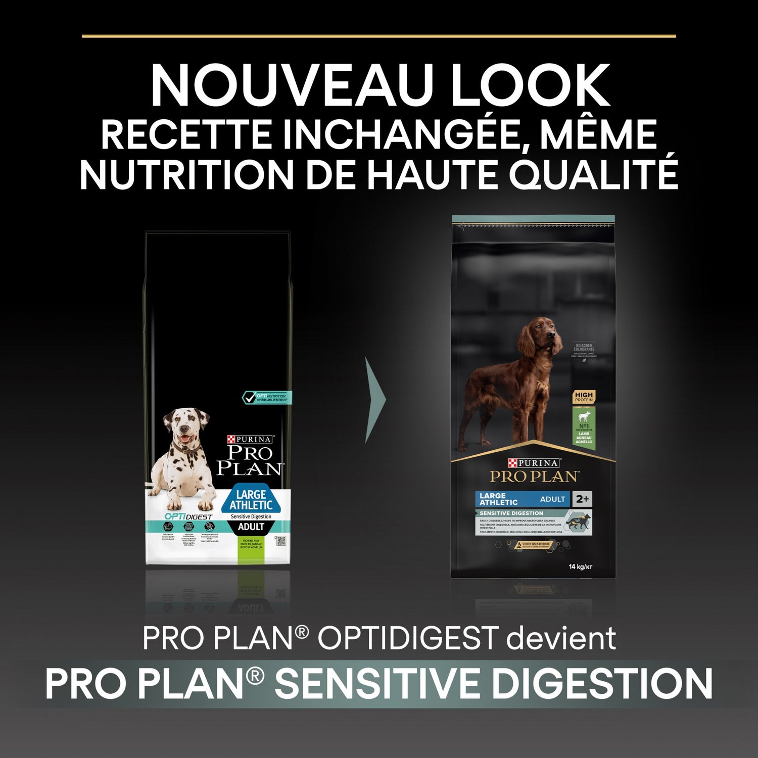 PRO PLAN Sensitive Digestion Large Athletic Adult à la Agneau - Croquettes pour chien