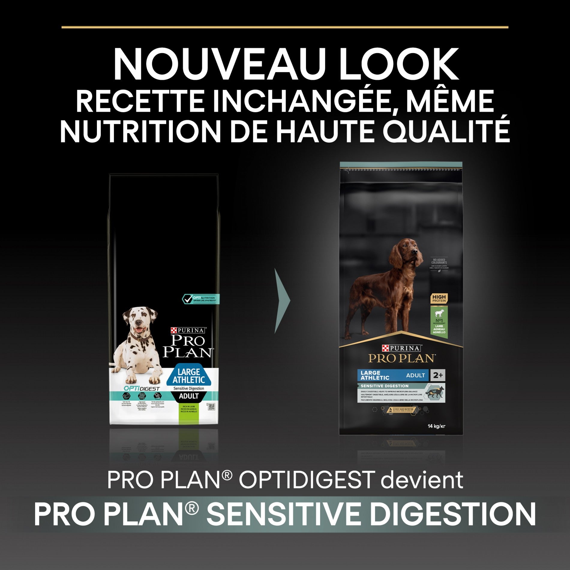 PRO PLAN Sensitive Digestion Large Athletic Adult à la Agneau - Croquettes pour chien
