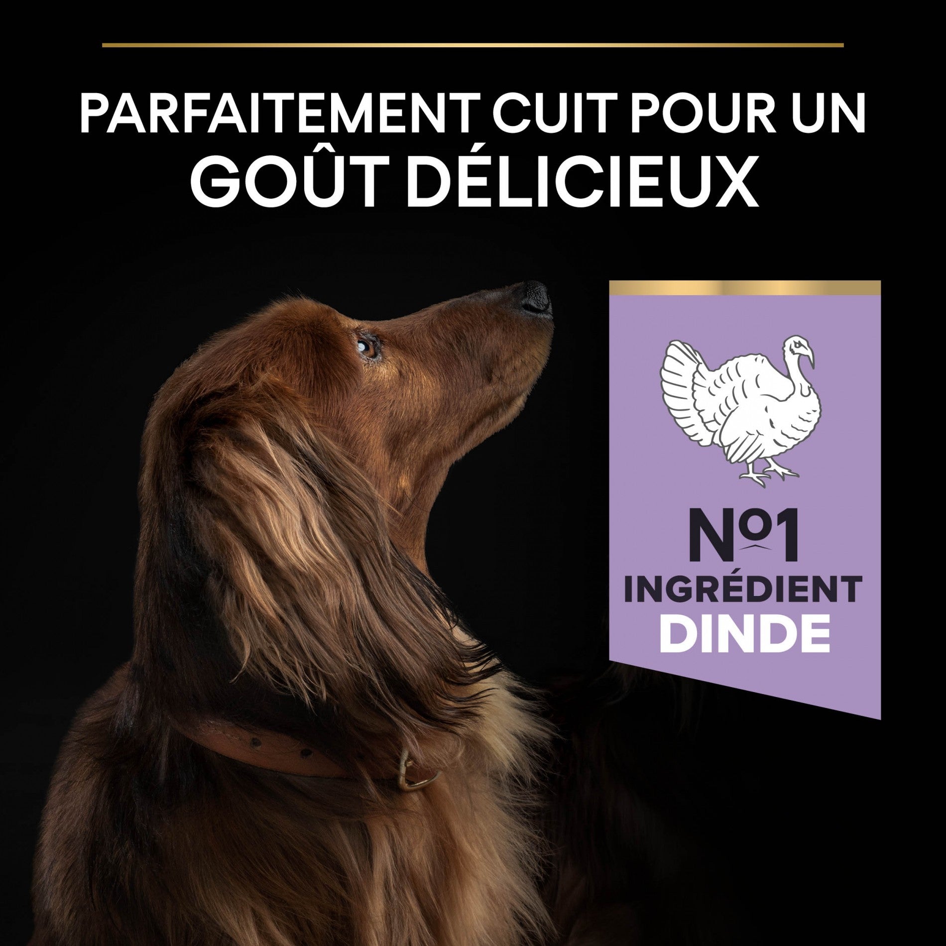 PRO PLAN Sensitive Digestion No Grain Small & Mini Adult à la Dinde - Croquettes pour chien