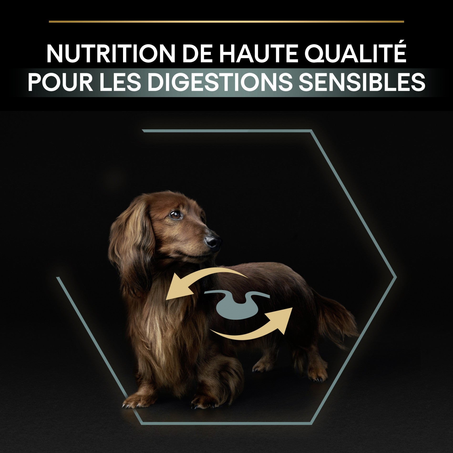 PRO PLAN Sensitive Digestion No Grain Small & Mini Adult à la Dinde - Croquettes pour chien