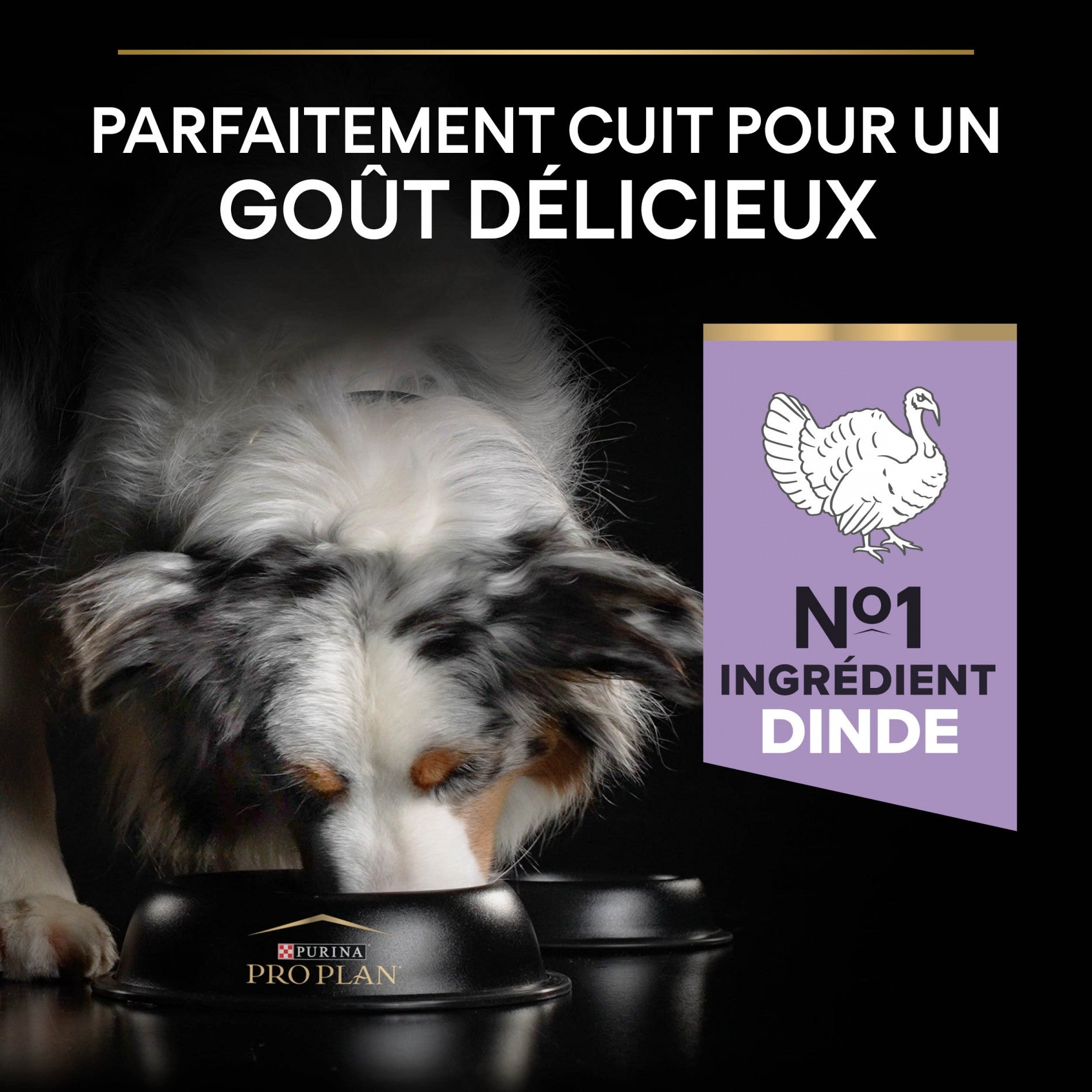 PRO PLAN Sensitive Digestion No Grain Medium & Large Adult à la Dinde - Croquettes pour chien