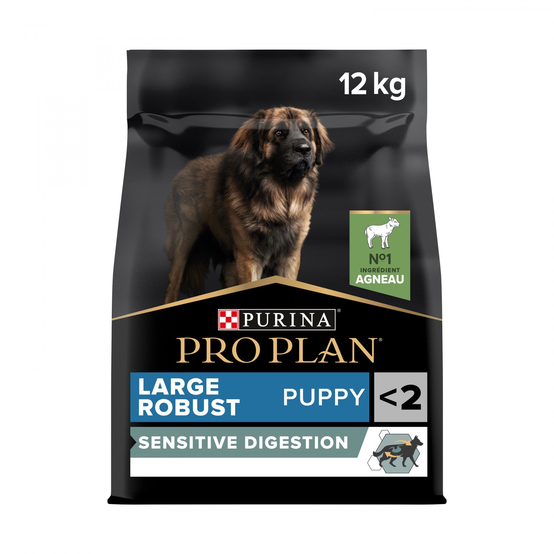 PRO PLAN Sensitive Digestion Large Robust Puppy à la Agneau- Croquettes pour chien