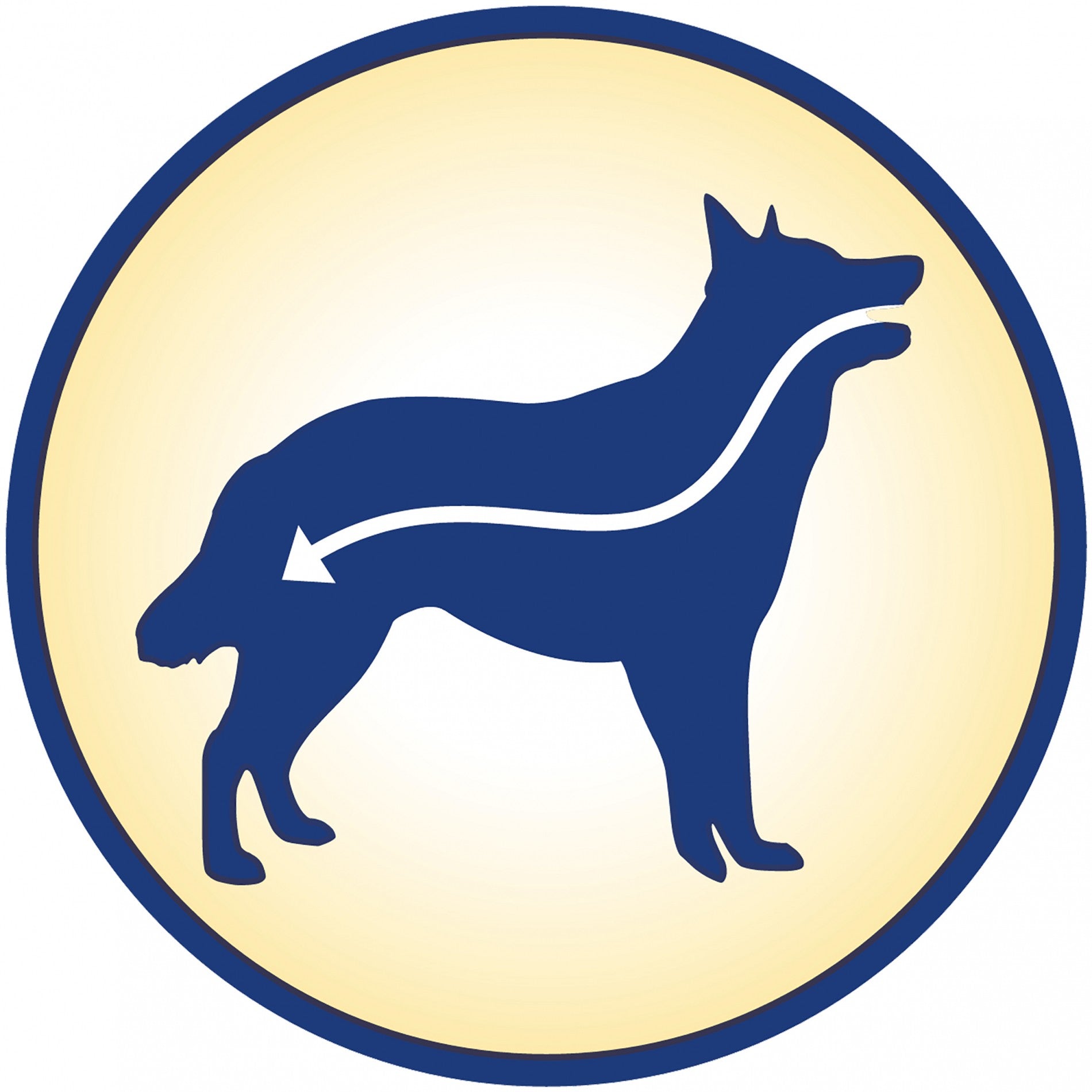 PURINA DOG CHOW Complet Adult au Saumon - Croquette pour chien