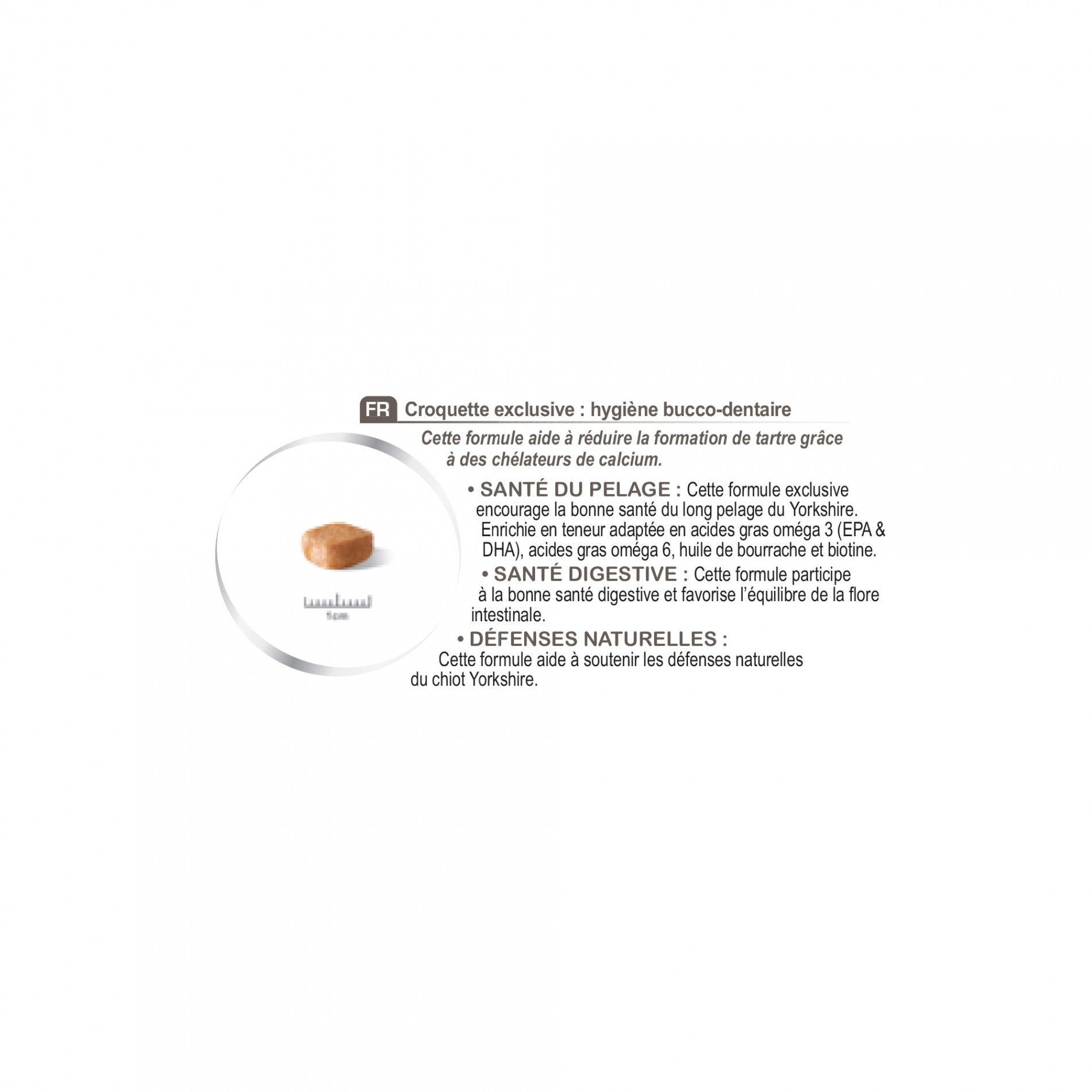 Royal Canin Yorkshire Terrier Puppy - Croquettes pour chiot