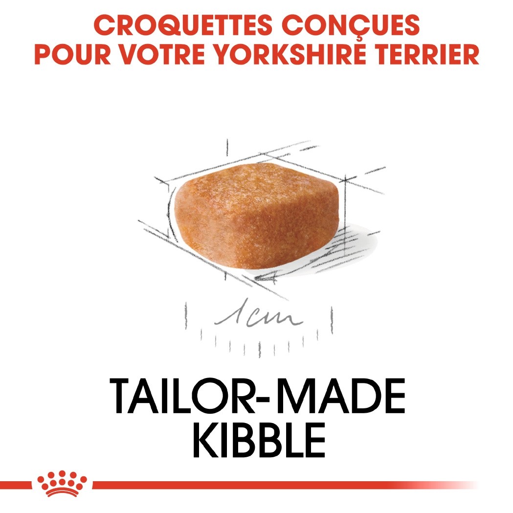 Royal Canin Yorkshire Terrier Puppy - Croquettes pour chiot