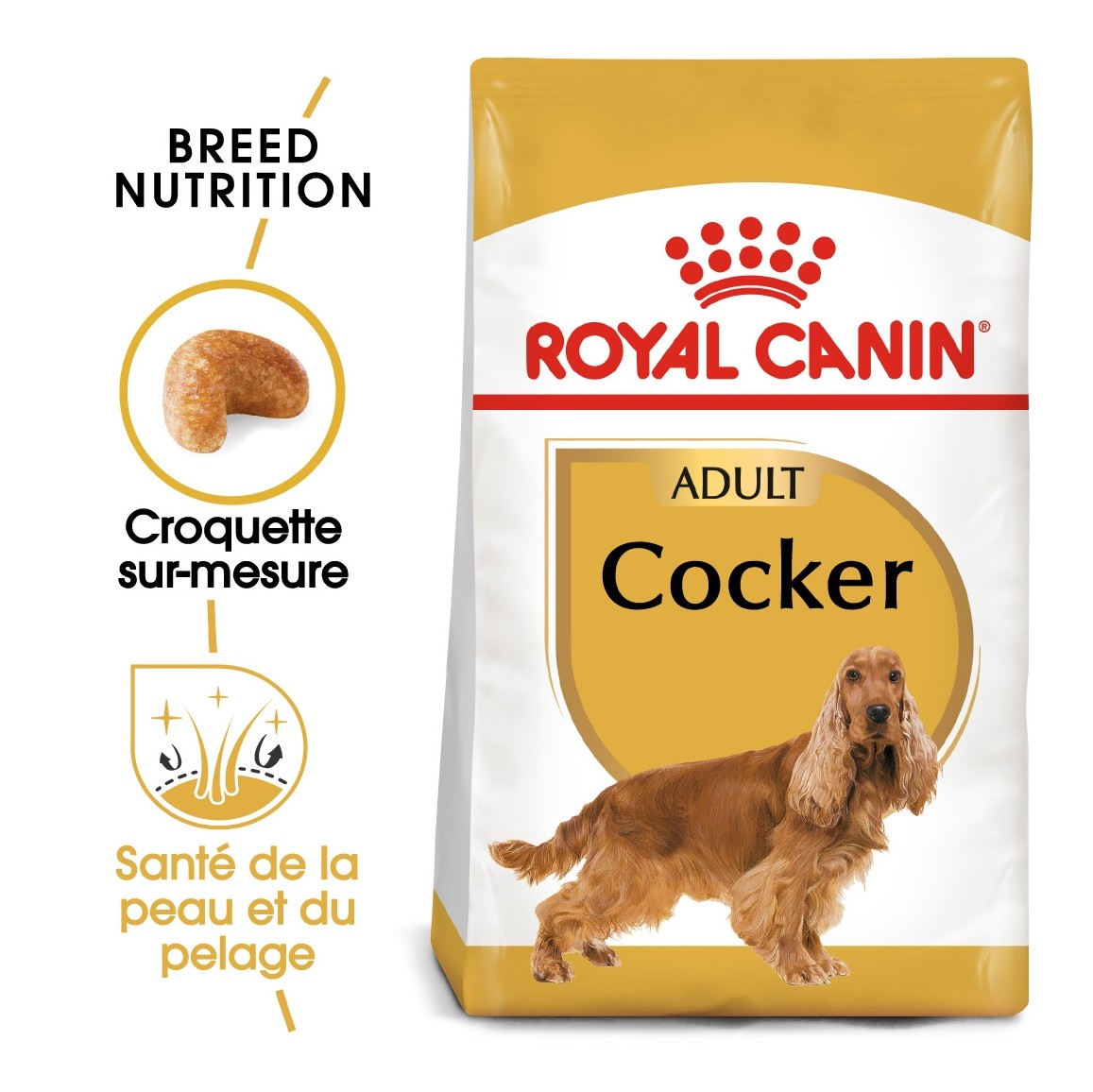 Royal Canin Cocker Adult - Croquettes pour chien