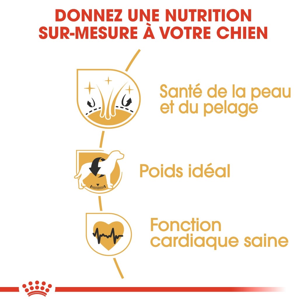 Royal Canin Cocker Adult - Croquettes pour chien