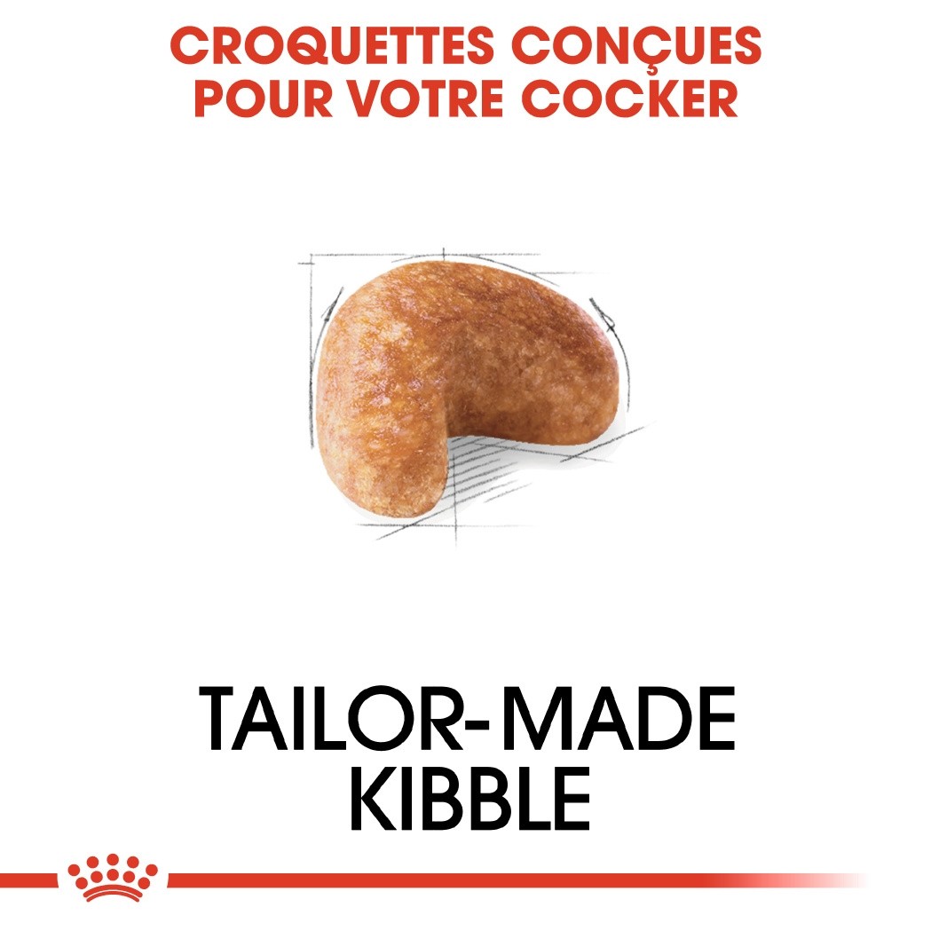 Royal Canin Cocker Adult - Croquettes pour chien