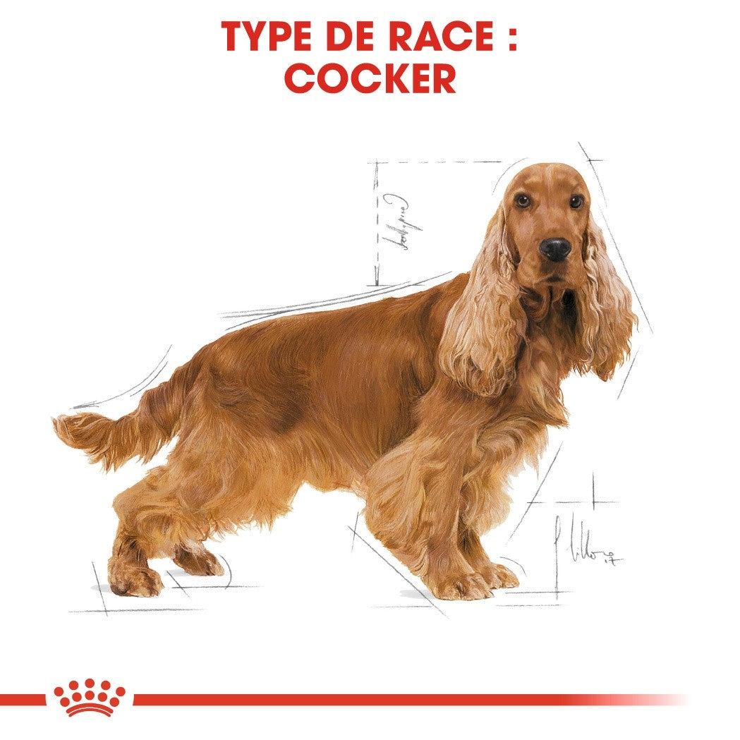 Royal Canin Cocker Adult - Croquettes pour chien