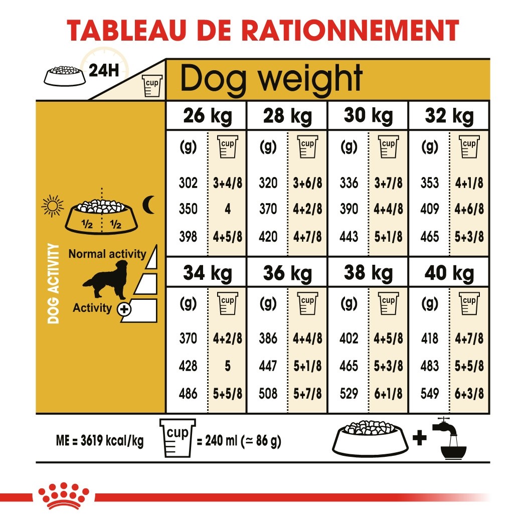 Royal Canin Golden Retriever Adult - Croquettes pour chien