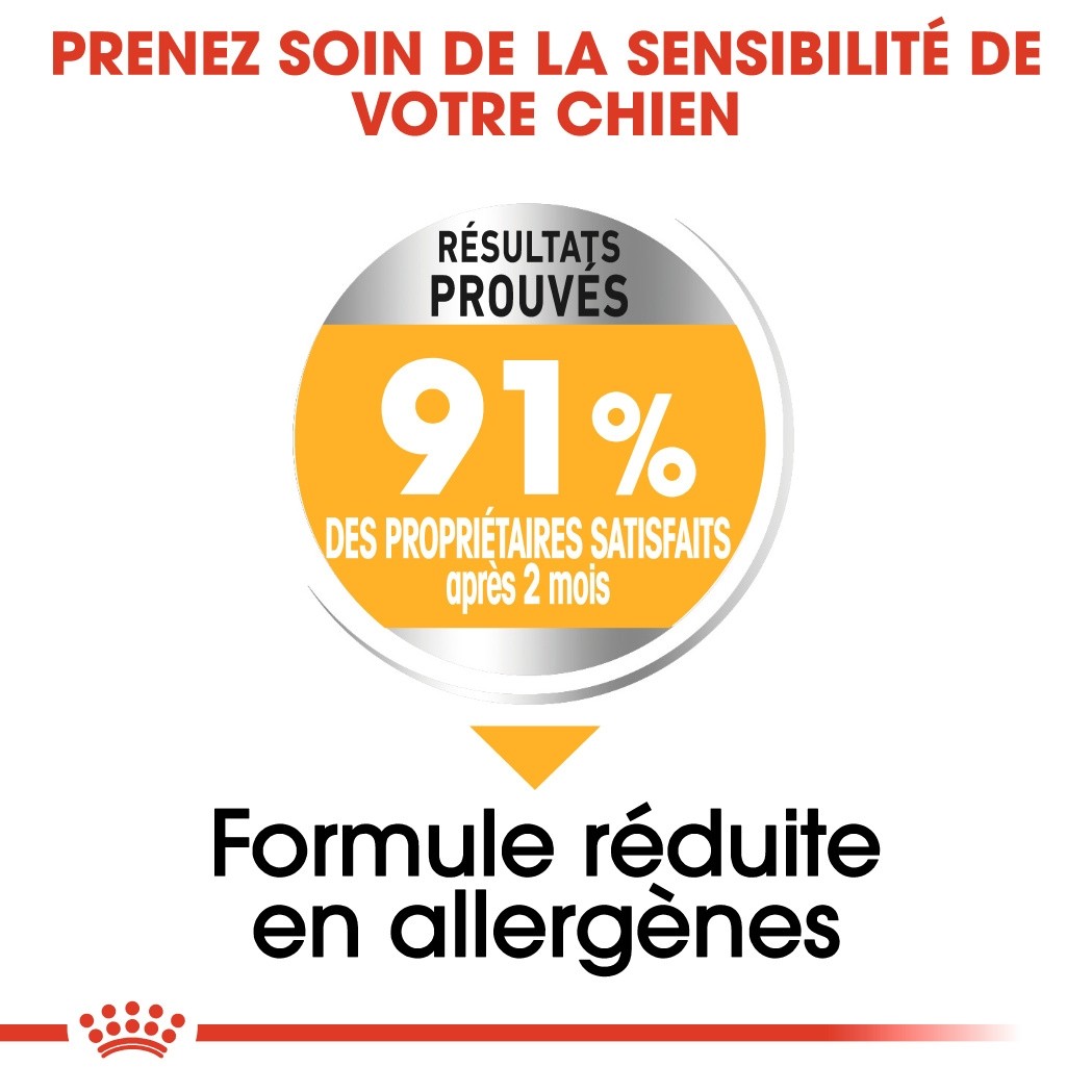Royal Canin Mini Dermaconfort - Croquettes pour chien