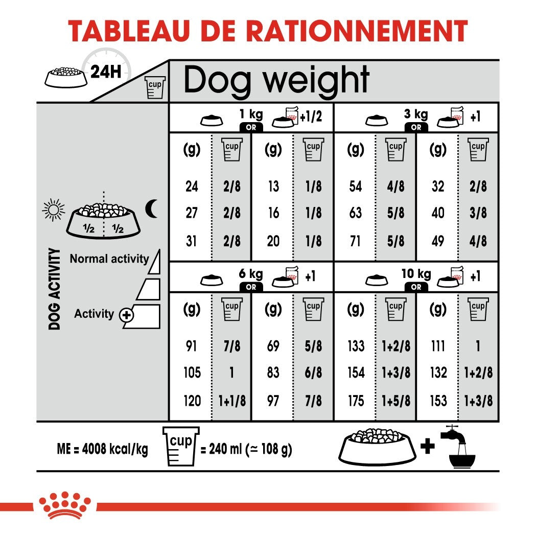 Royal Canin Mini Dermaconfort - Croquettes pour chien