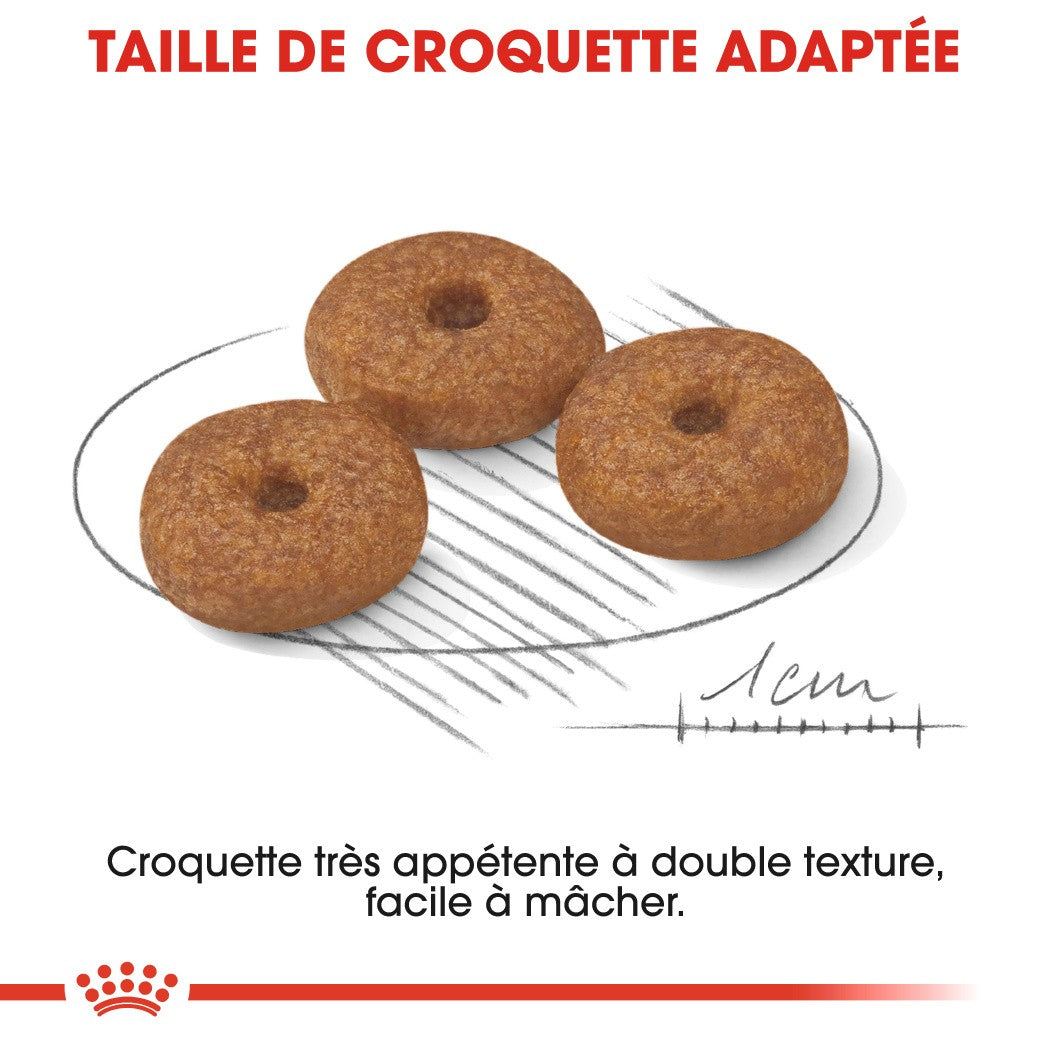 Royal Canin Mini Ageing 12+  - Croquettes pour chien