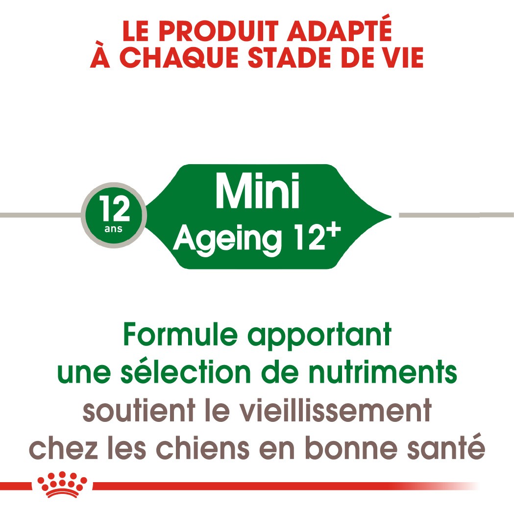 Royal Canin Mini Ageing 12+ - Croquettes pour chien