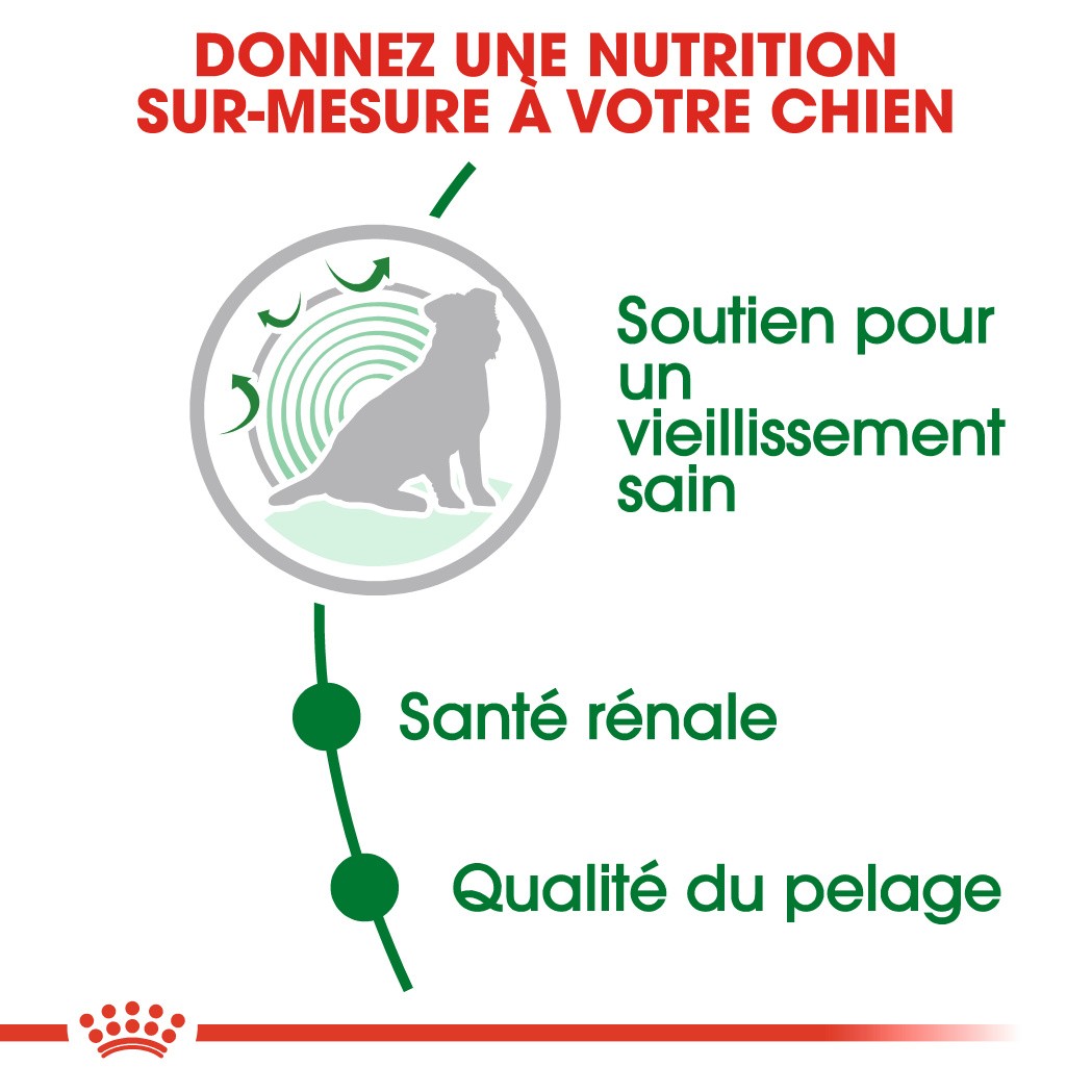 Royal Canin Mini Ageing 12+  - Croquettes pour chien