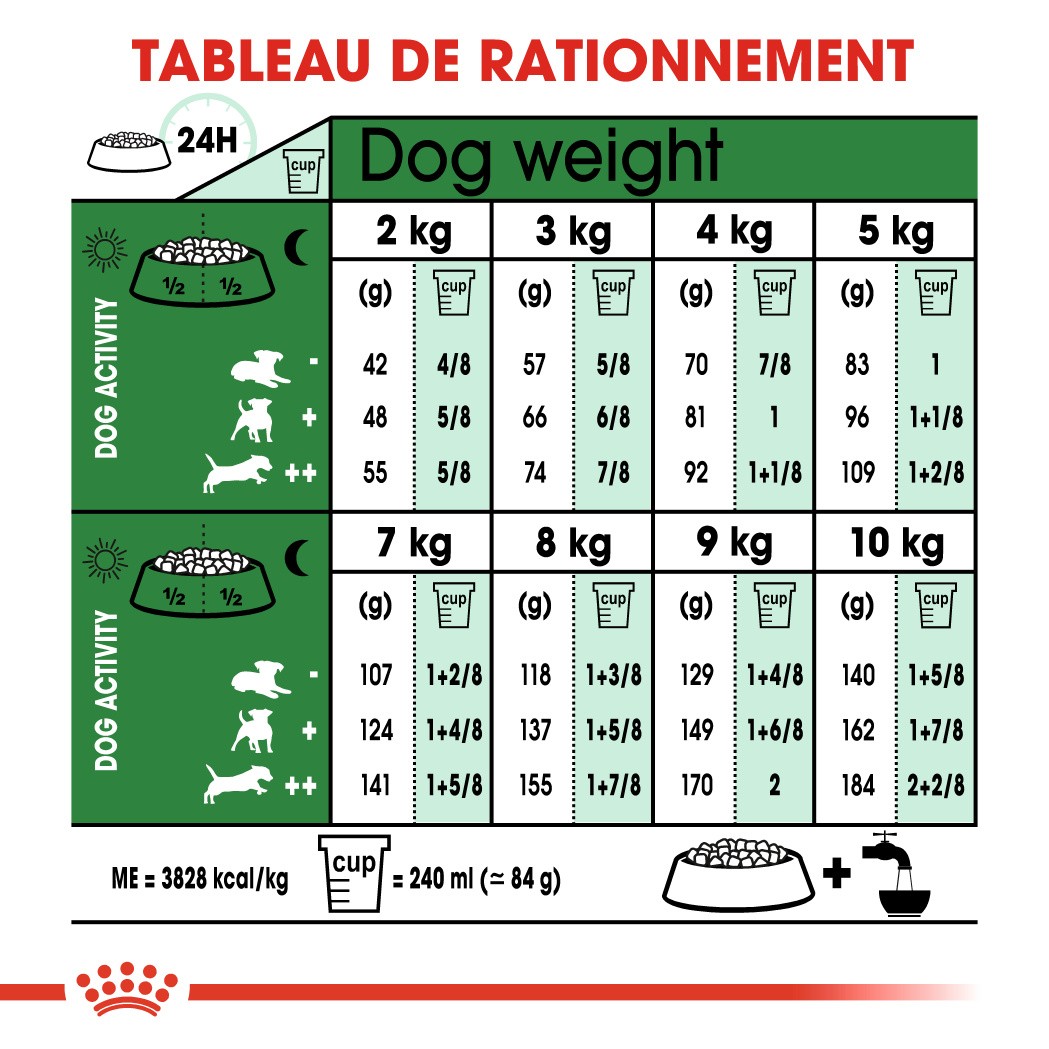 Royal Canin Mini Ageing 12+ - Croquettes pour chien