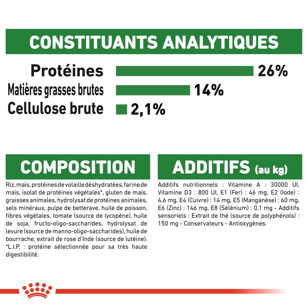 Royal Canin Mini Ageing 12+ - Croquettes pour chien