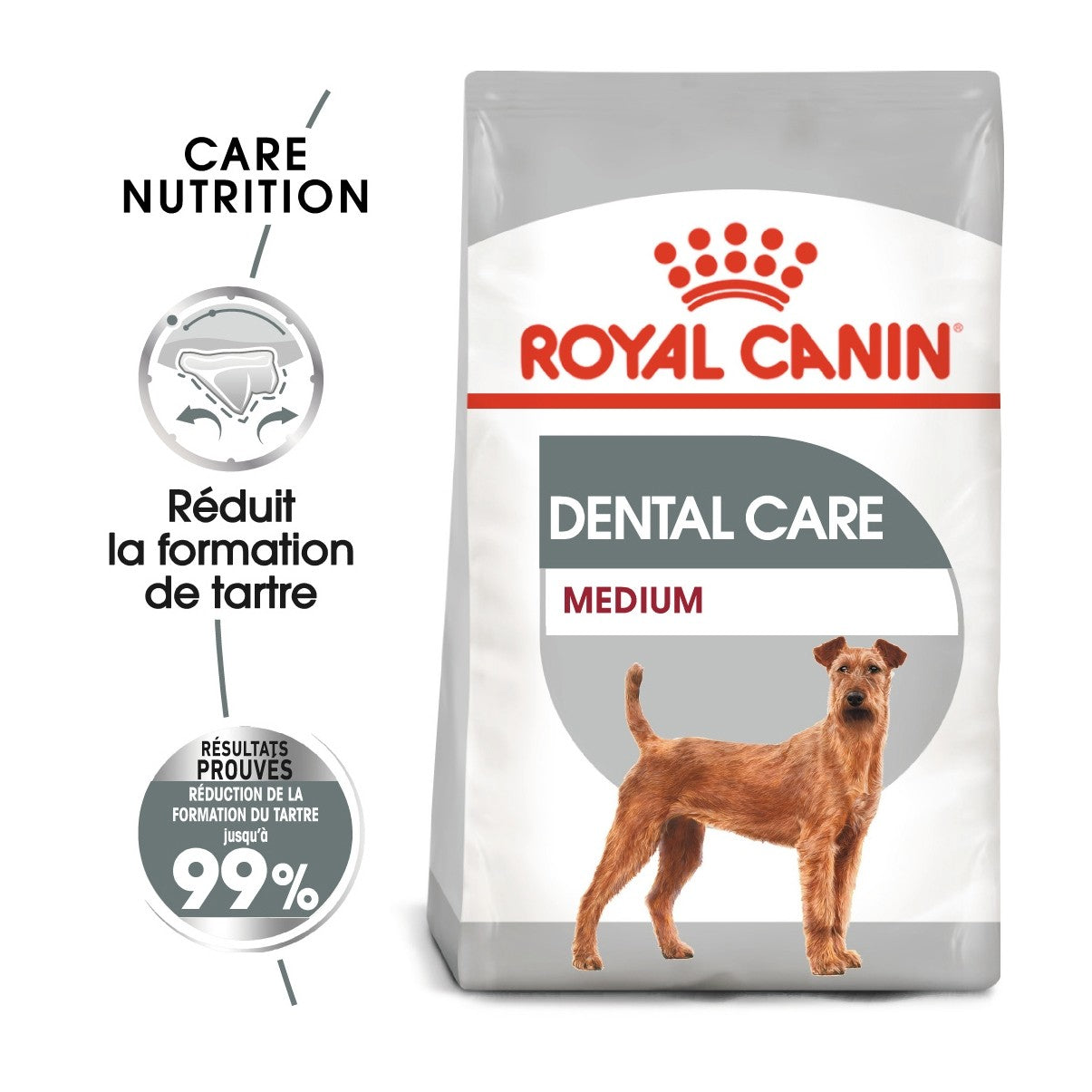Royal Canin Medium Dental Care - Croquettes pour chien