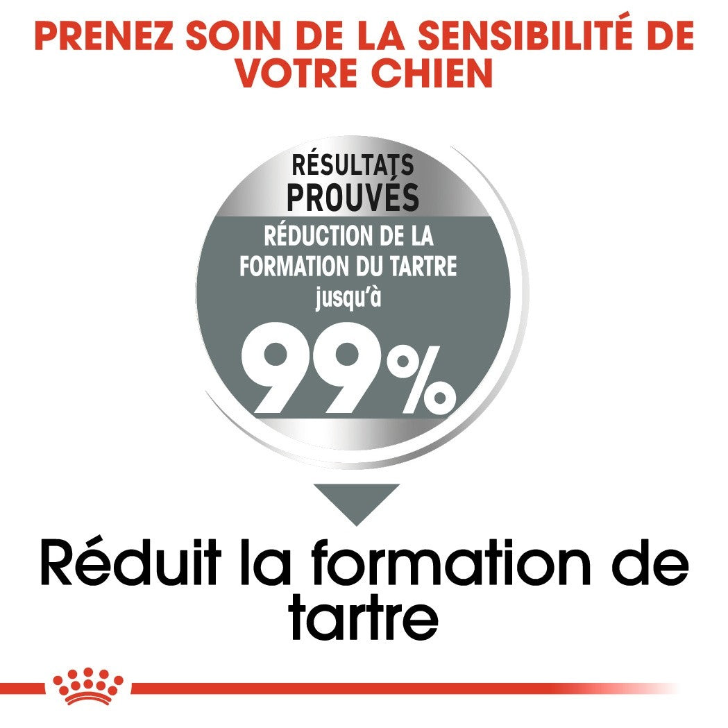 Royal Canin Medium Dental Care - Croquettes pour chien