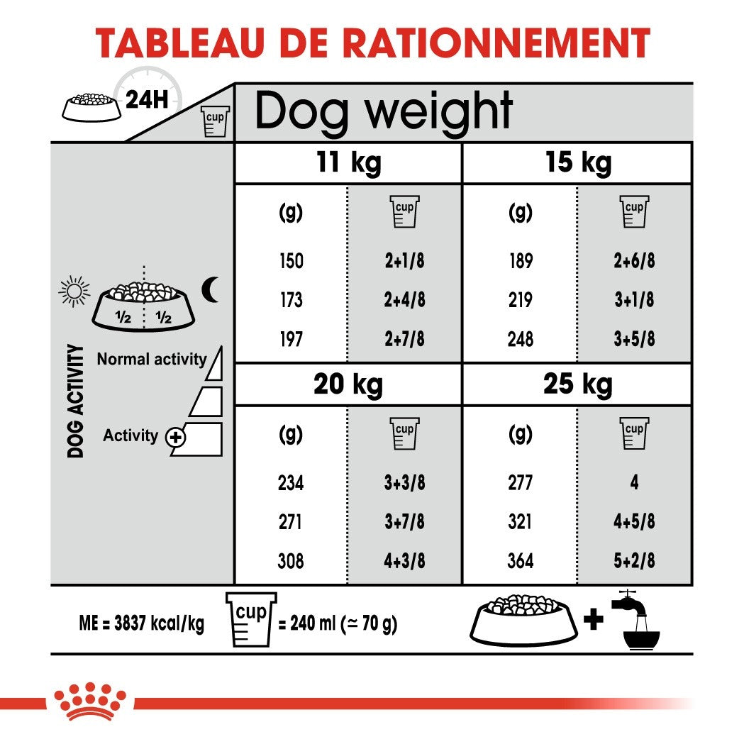 Royal Canin Medium Dental Care - Croquettes pour chien