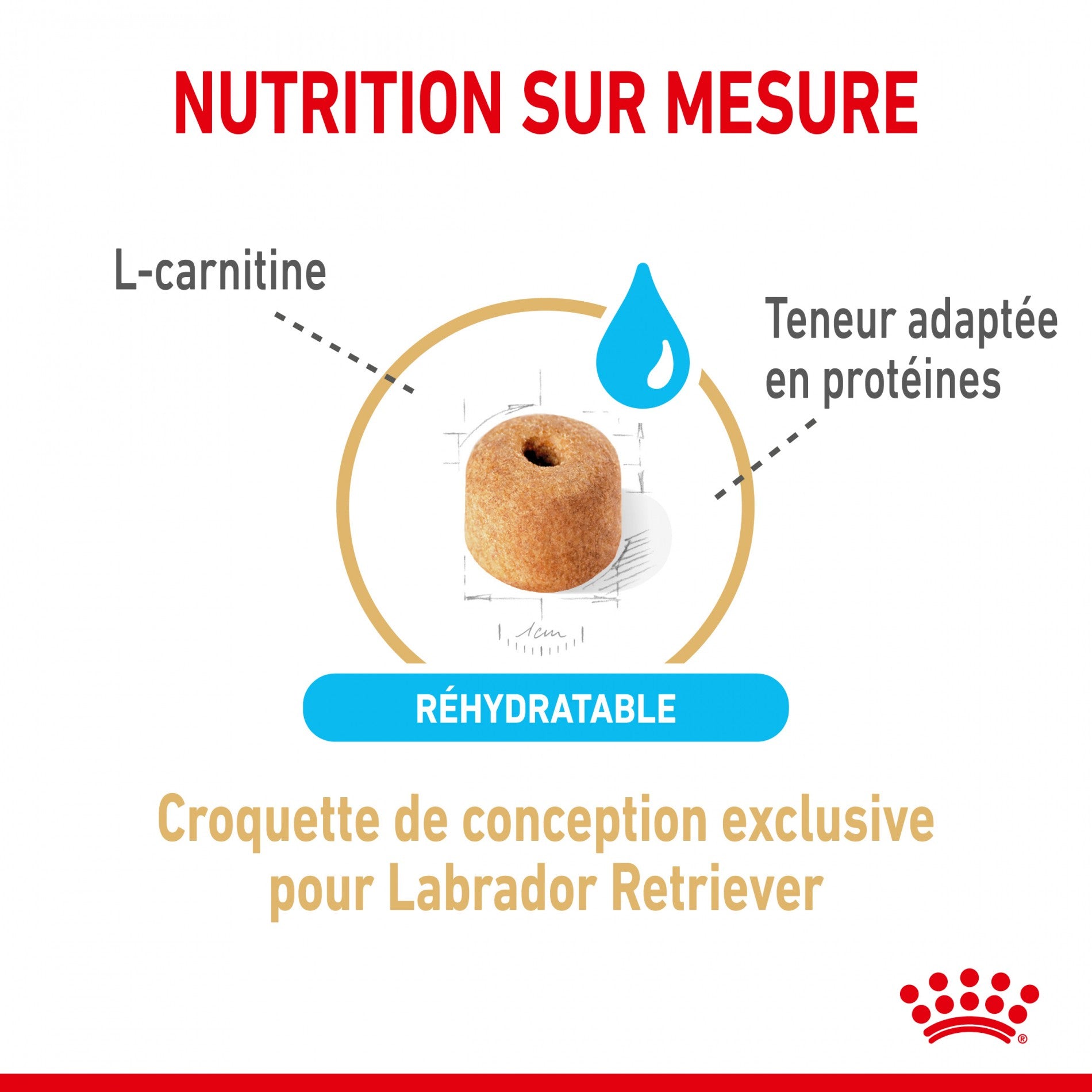 Royal Canin Labrador Retriever Adult 5+ - Croquettes pour chien
