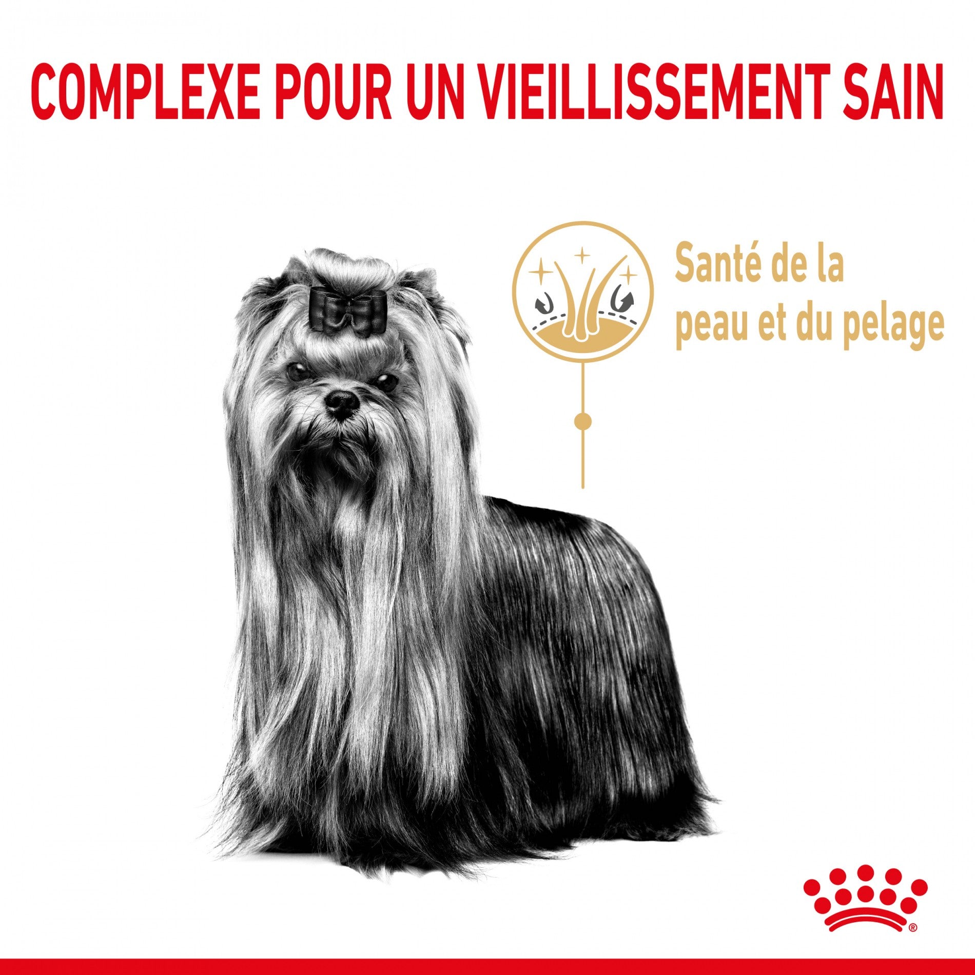 Royal Canin Yorkshire Terrier Adult 8+ - Croquettes pour chien