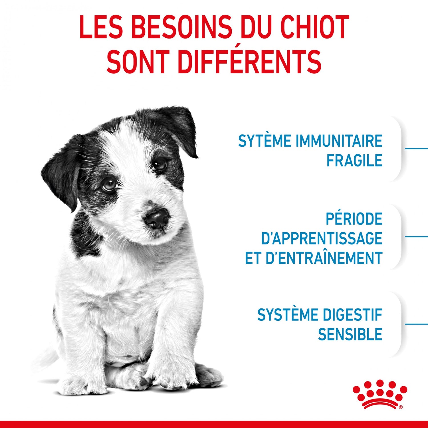 Royal Canin Mini Puppy - croquettes pour chiot
