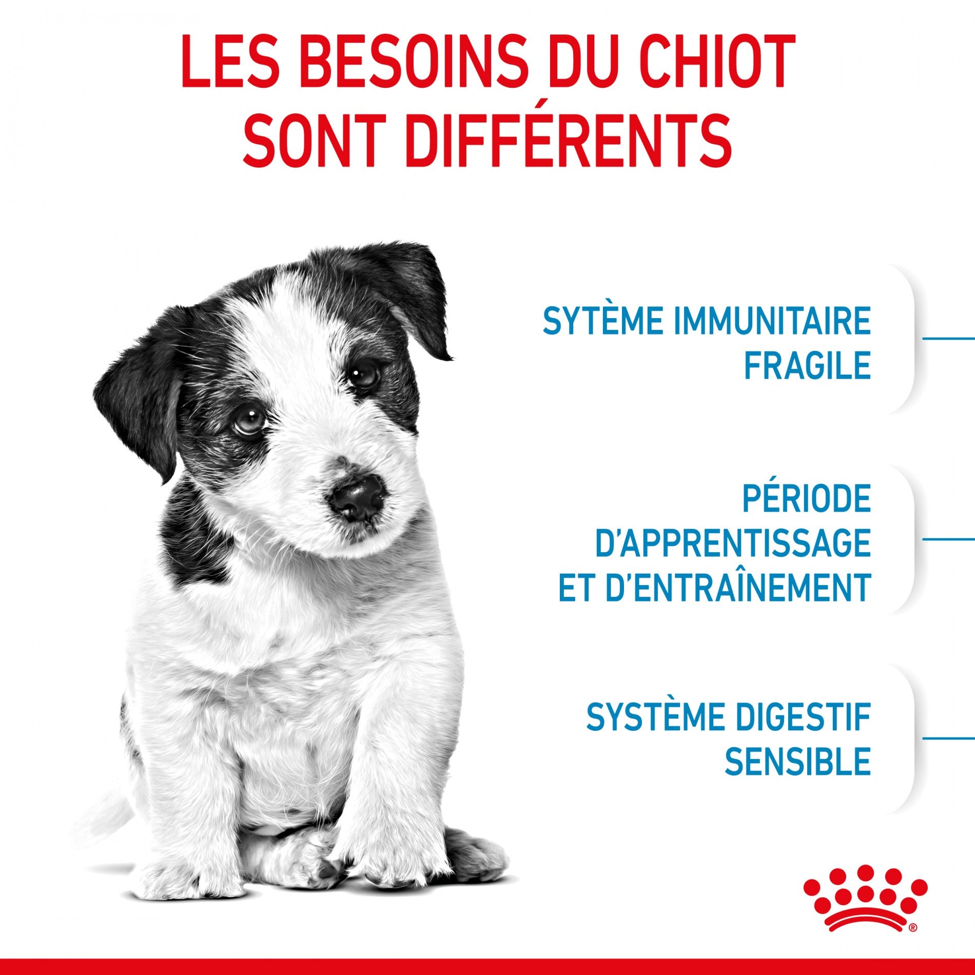Royal Canin Mini Puppy - croquettes pour chiot