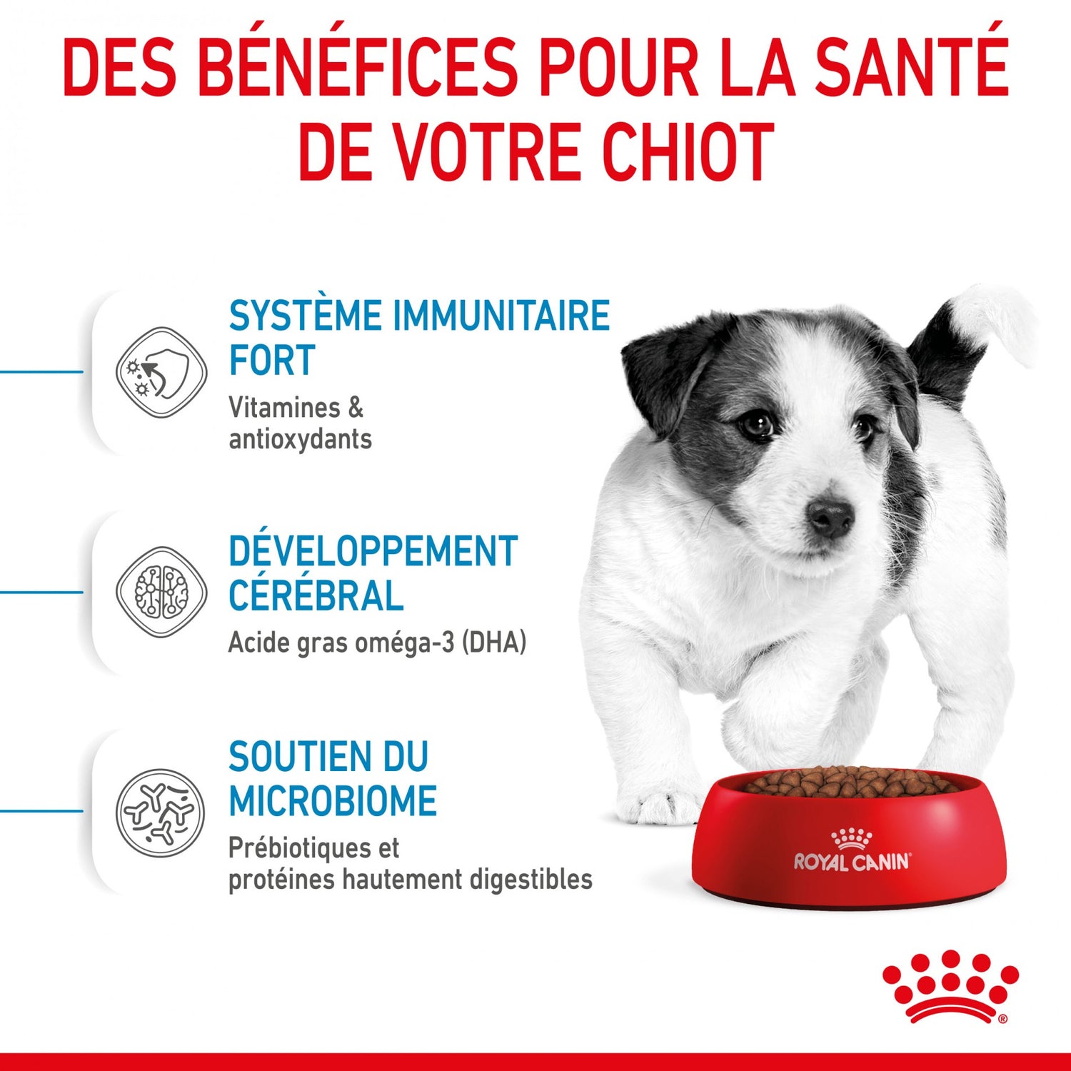 Royal Canin Mini Puppy - croquettes pour chiot