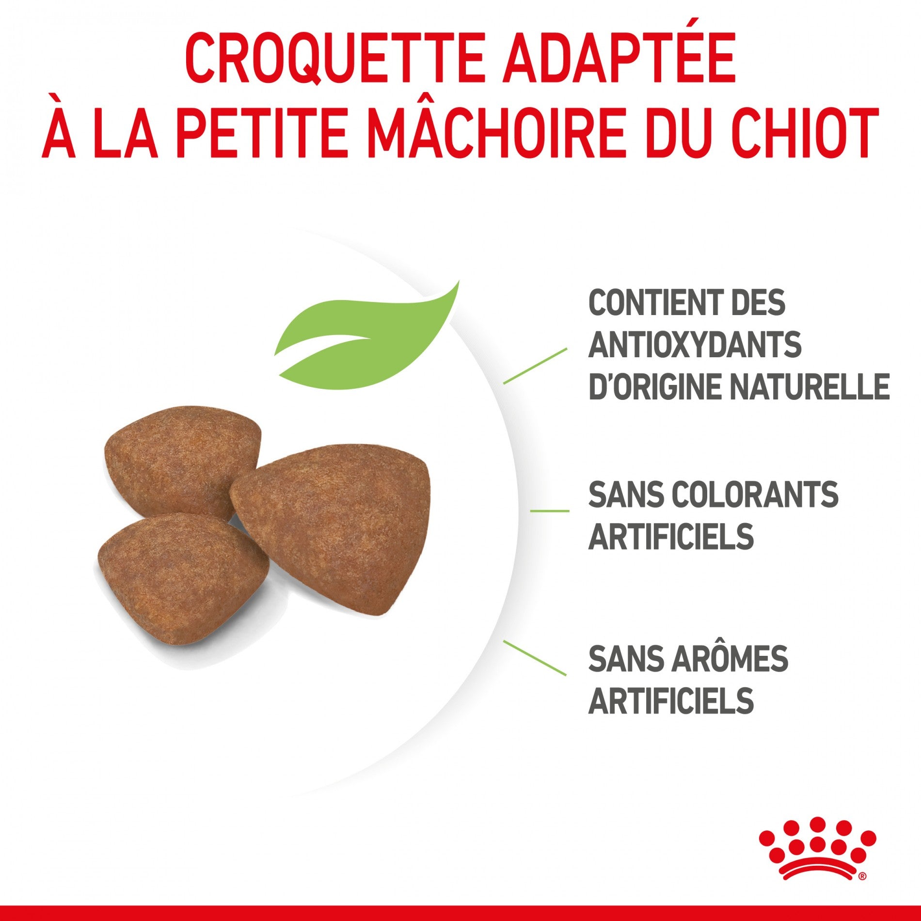 Royal Canin Mini Puppy - croquettes pour chiot