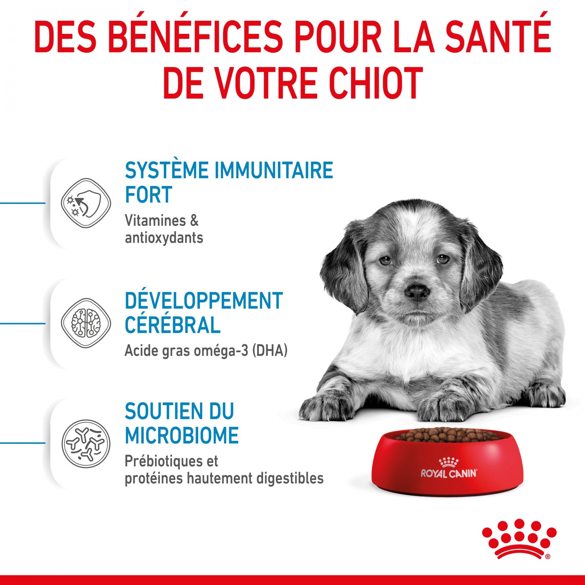 Royal Canin Medium Puppy - Croquettes pour chiot