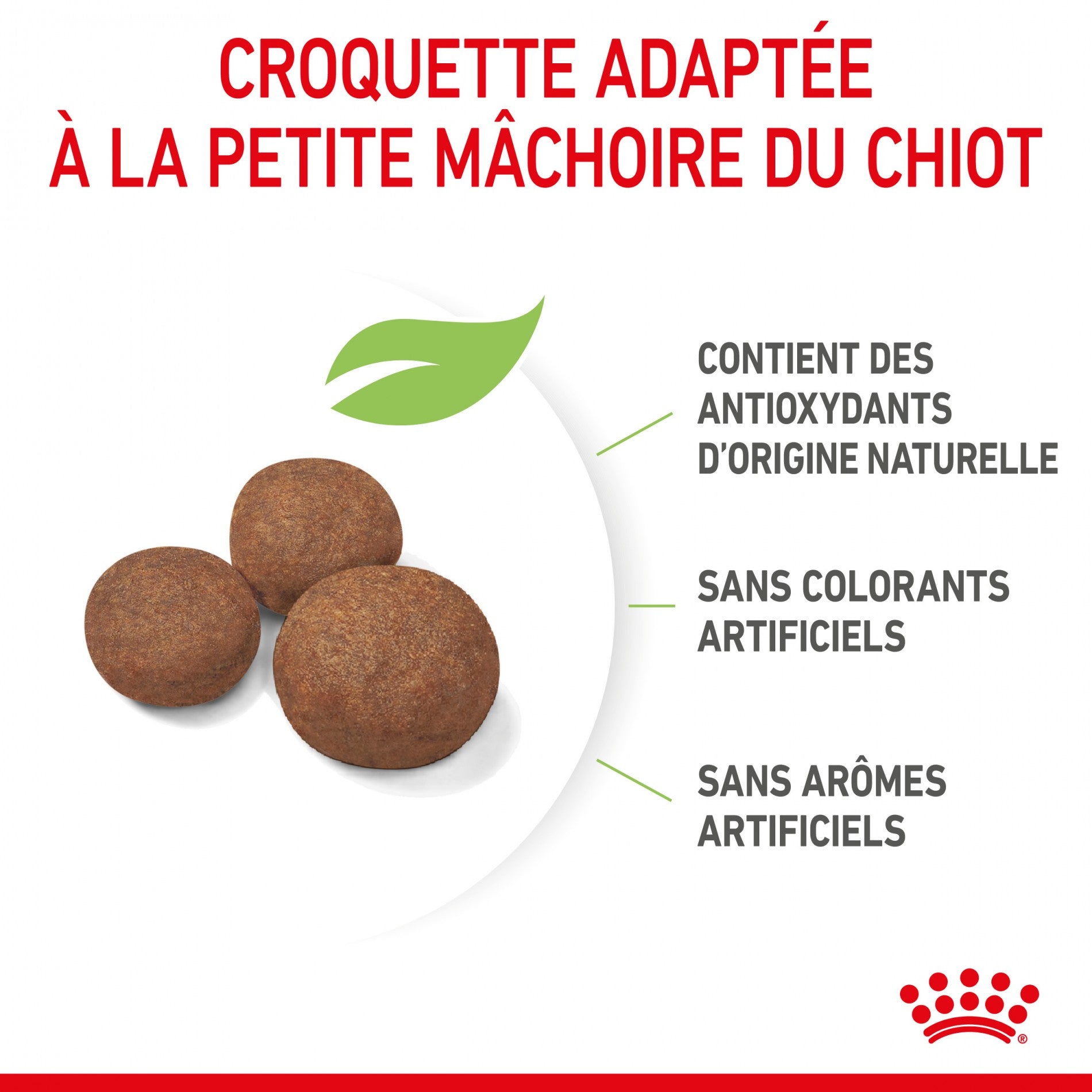 Royal Canin Medium Puppy - Croquettes pour chiot