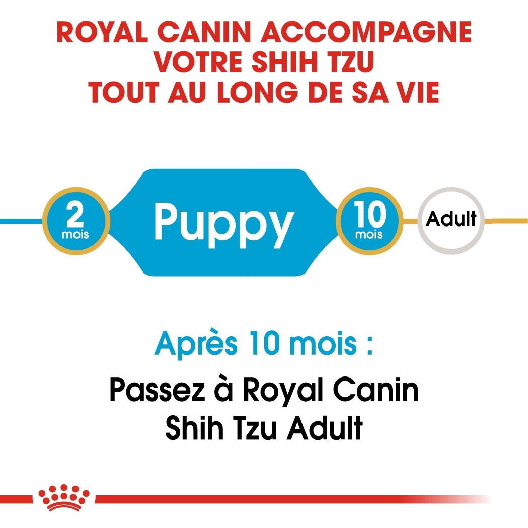 Royal Canin Shih Tzu Puppy - Croquettes pour chiot