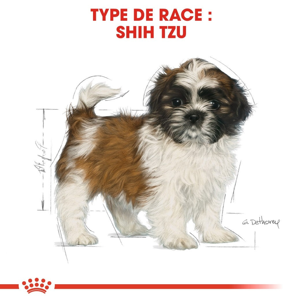 Royal Canin Shih Tzu Puppy - Croquettes pour chiot