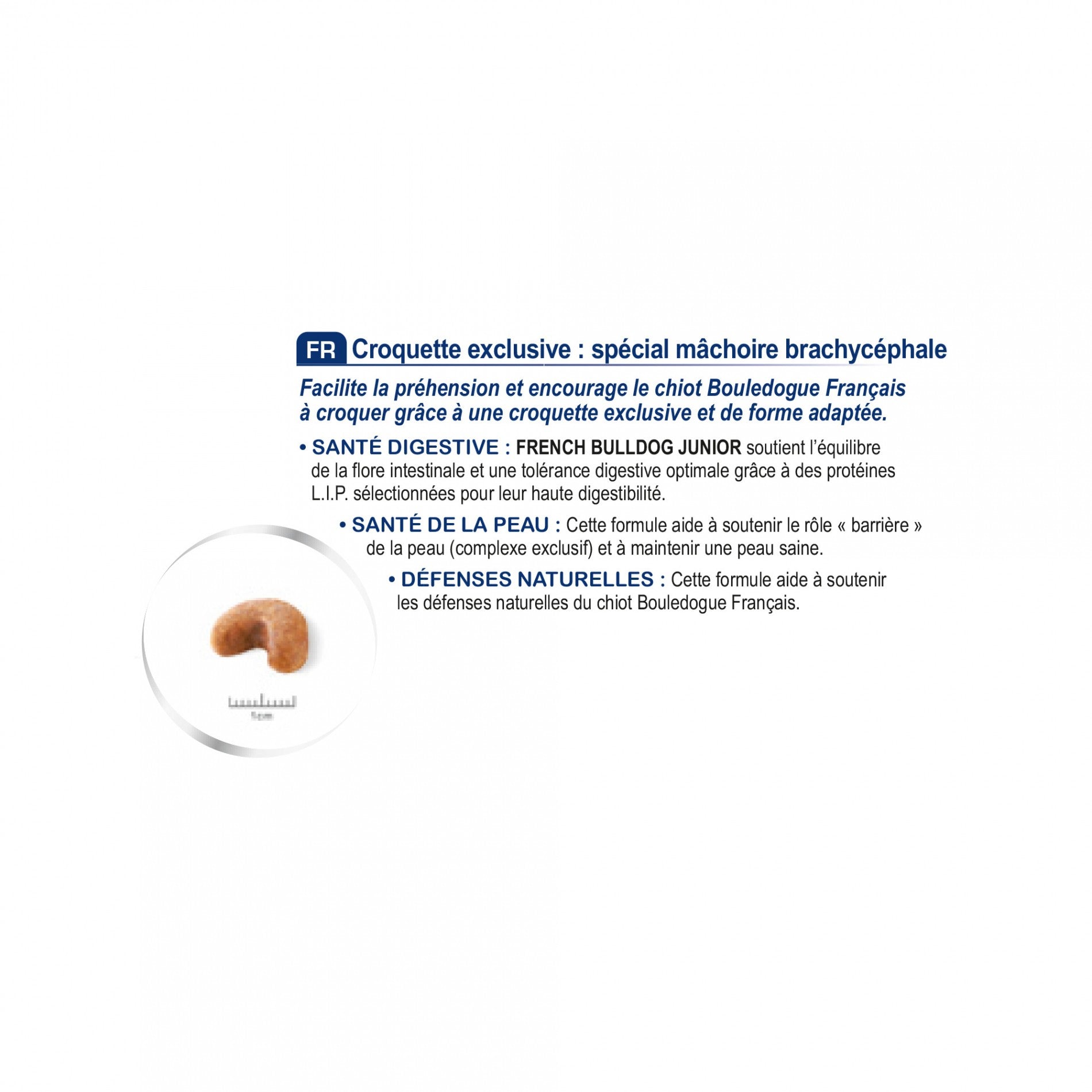 Royal Canin Bouledogue Français Puppy - Croquettes pour chiot