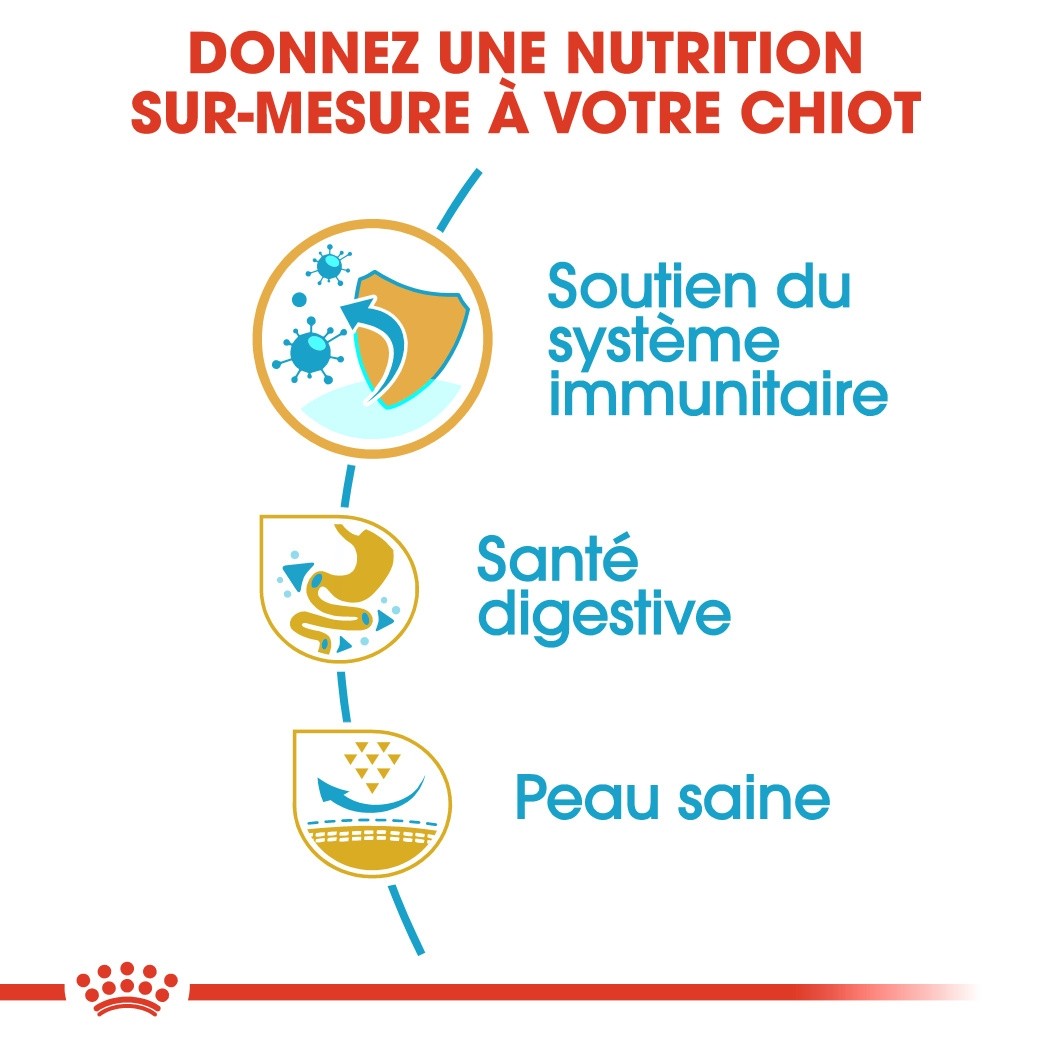 Royal Canin Bouledogue Français Puppy - Croquettes pour chiot