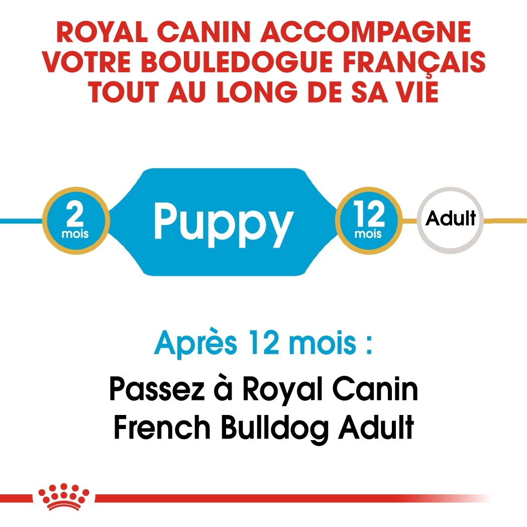 Royal Canin Bouledogue Français Puppy - Croquettes pour chiot
