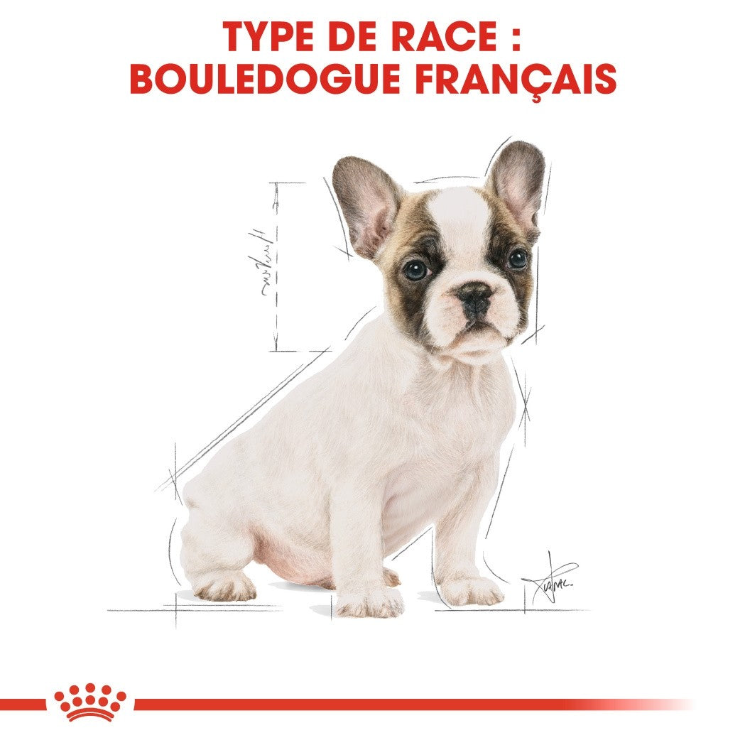 Royal Canin Bouledogue Français Puppy - Croquettes pour chiot