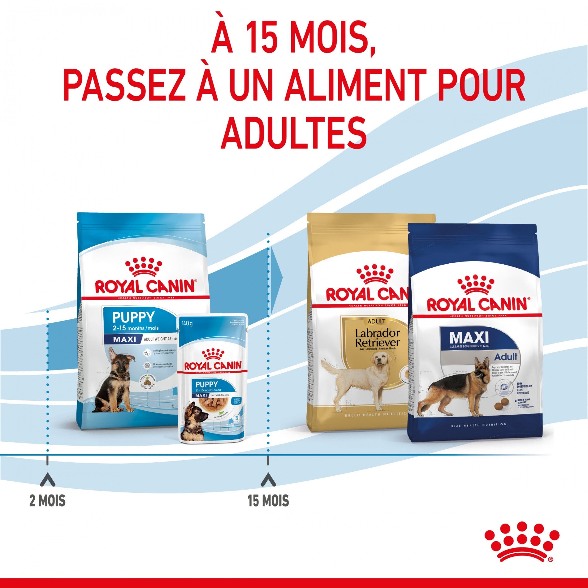 Royal Canin Maxi Puppy - Croquettes pour chiot