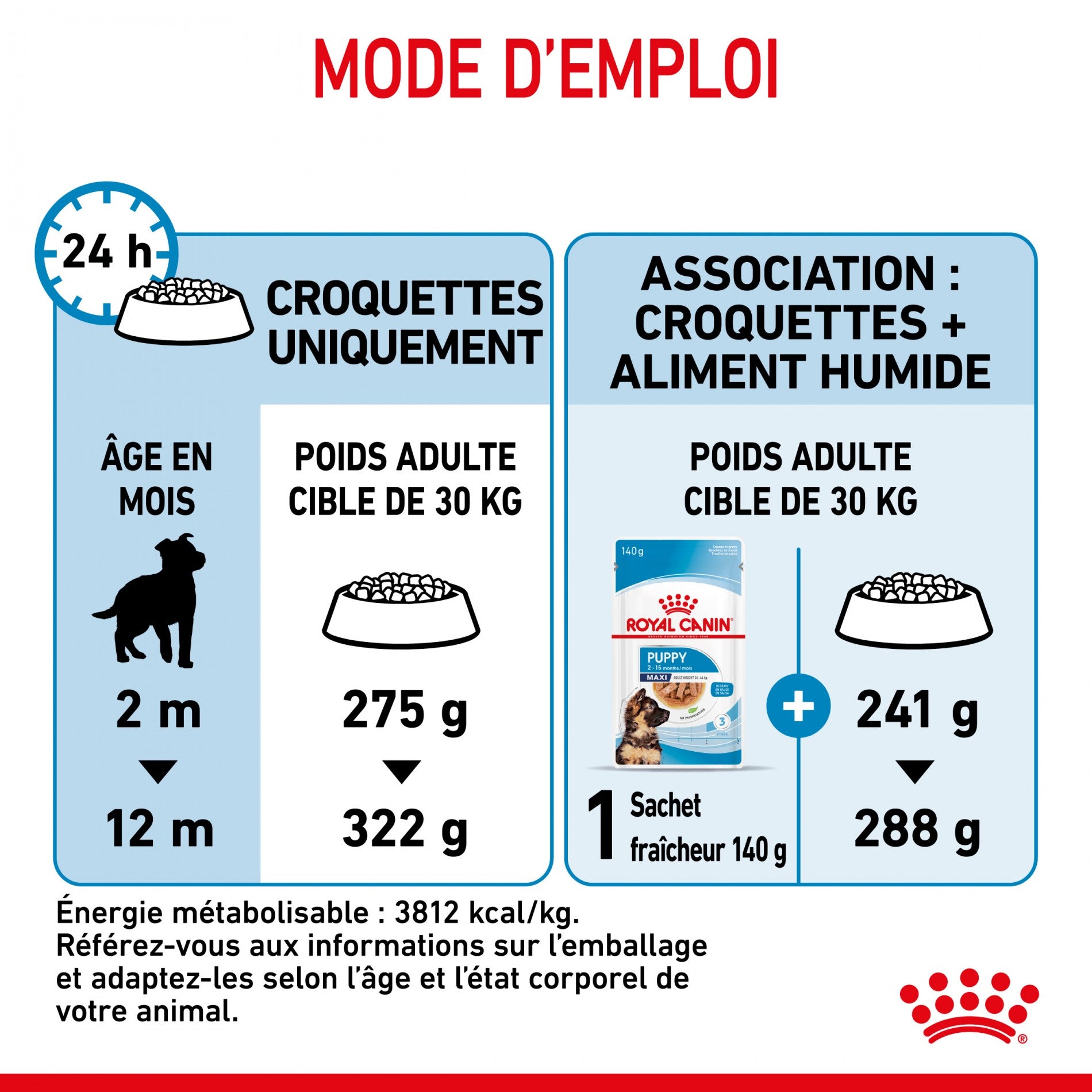 Royal Canin Maxi Puppy - Croquettes pour chiot