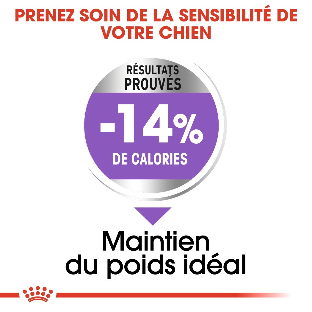 Royal Canin Mini Sterilised - croquettes chien