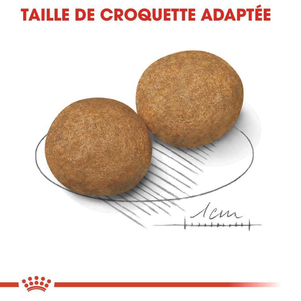 Royal Canin Medium Adult - Croquettes pour chien