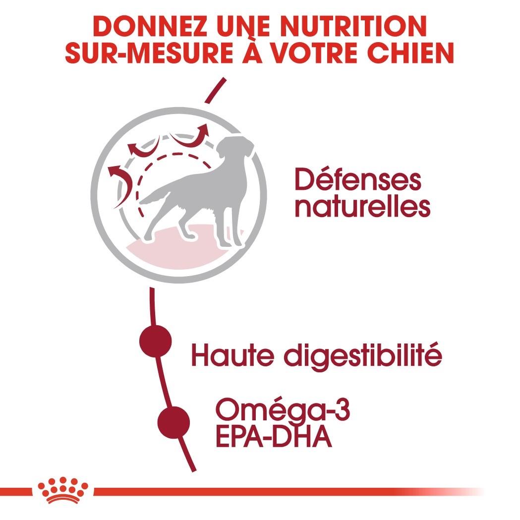 Royal Canin Medium Adult - Croquettes pour chien