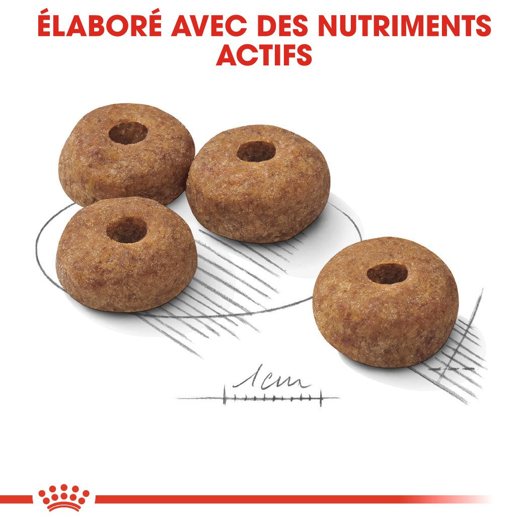 Royal Canin Medium Sterilised - Croquettes pour chien